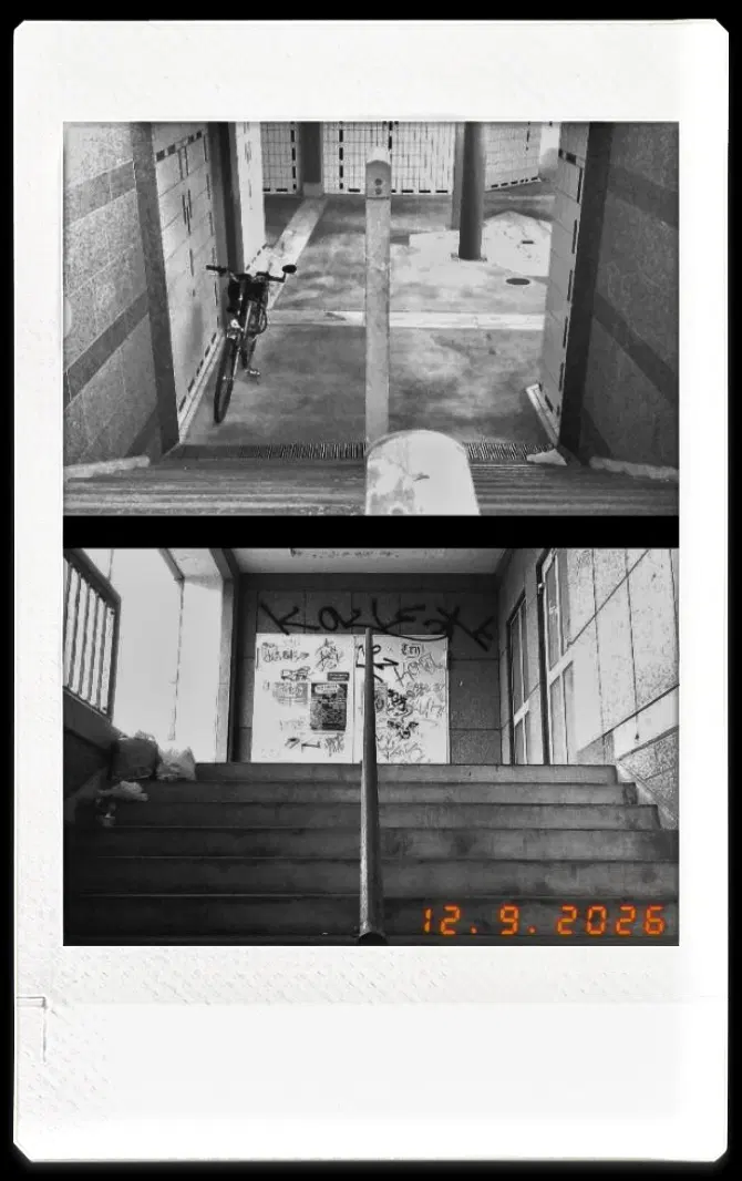 Eine monochrome Sofortbildfotografie. Das Bild ist horizontal in zwei Hälften geteilt. In der oberen Hälfte sieht man einen Treppengang der runter in eine Unterführung führt und in der unteren Hälfte sieht man denselben Treppengang, der nach oben, aus der Unterführung heraus führt. Das Bild hat einen weißen Rahmen.